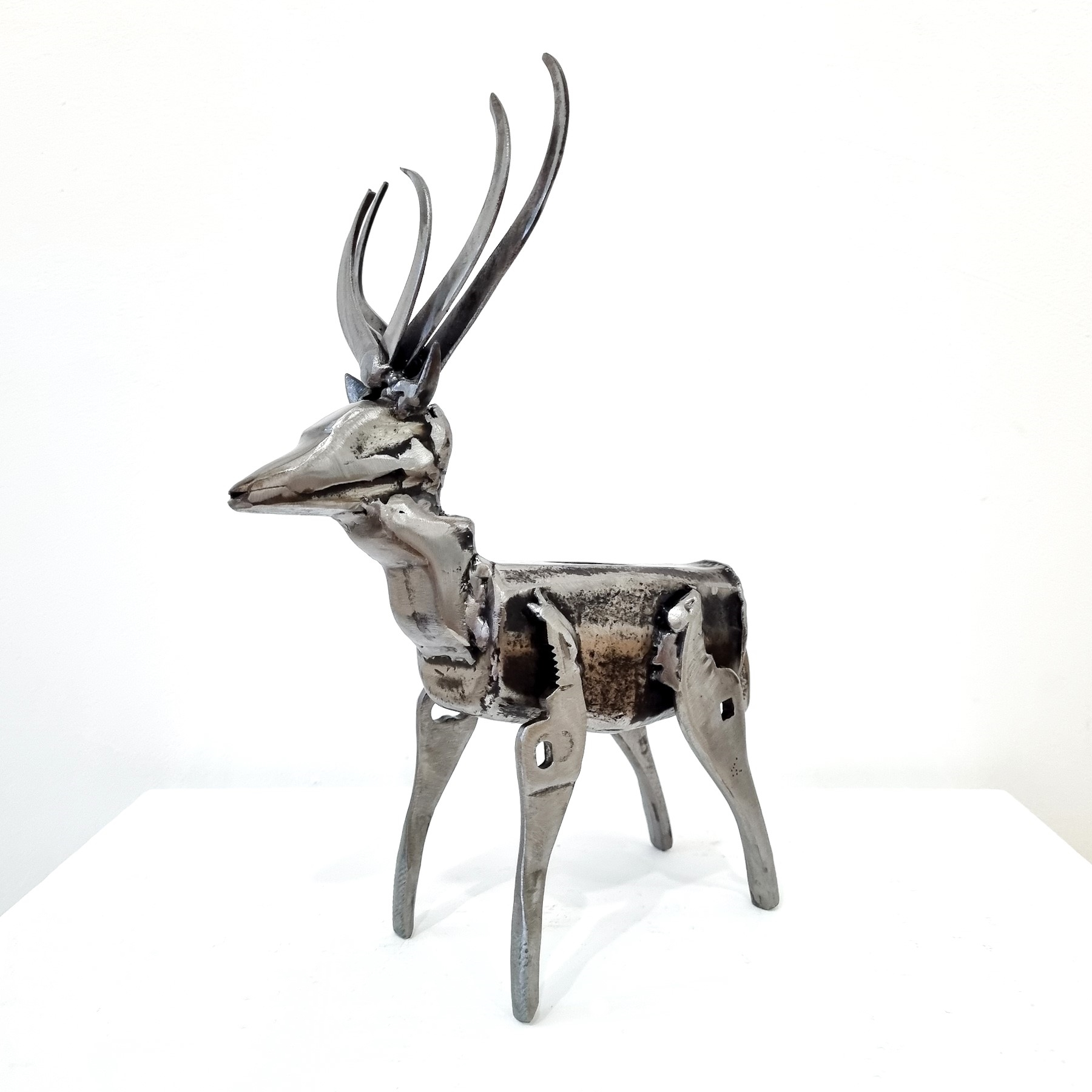 'Buck' by artist Cath Kerr